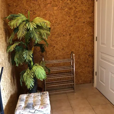 Apartment Elenite - - Messambria - Alyona C3-34 *